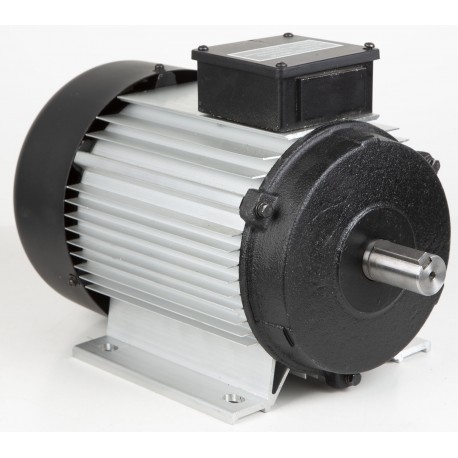 Electric motor TS12 2800W/380V